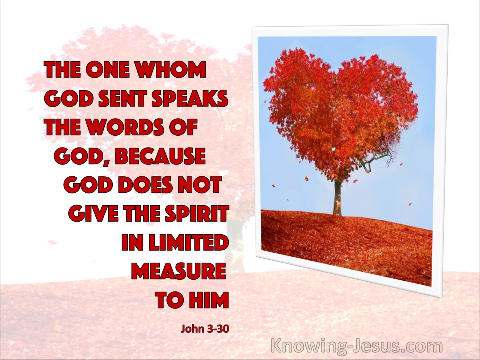John 3:30 John 3:30 He Speaks The Word Of God (red)